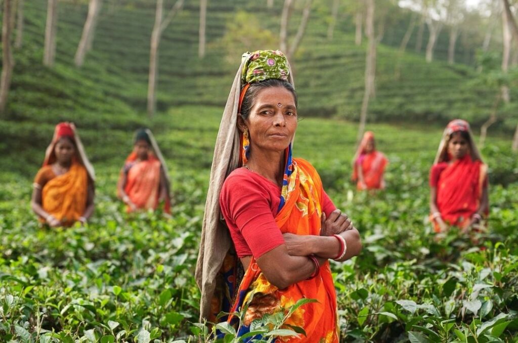 Support to Widows and Destitute Women